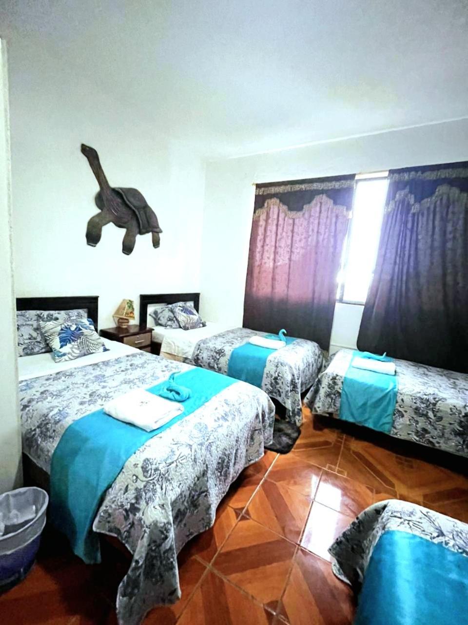 Apartment Galarous Island Puerto Ayora (Galapagos Islands)